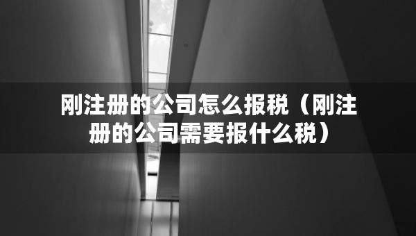 剛注冊(cè)的公司怎么報(bào)稅（剛注冊(cè)的公司需要報(bào)什么稅）