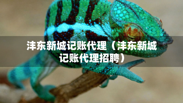 灃東新城記賬代理（灃東新城記賬代理招聘）