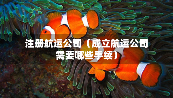 注冊航運公司（成立航運公司需要哪些手續(xù)）