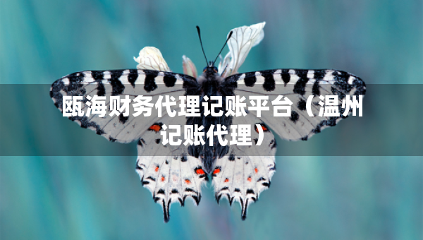 甌海財務代理記賬平臺（溫州記賬代理）