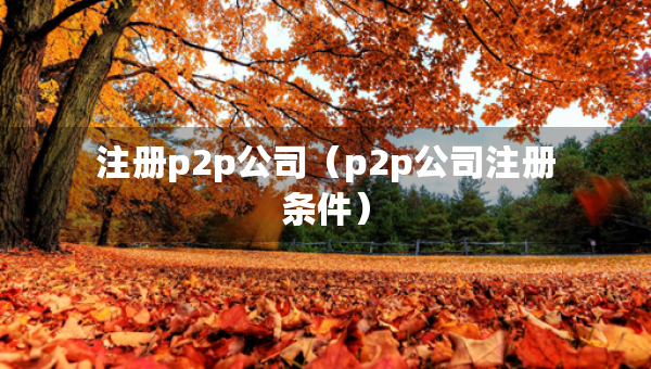 注冊p2p公司（p2p公司注冊條件）