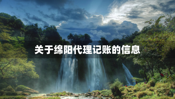 關(guān)于綿陽代理記賬的信息