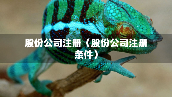 股份公司注冊（股份公司注冊條件）