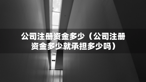 公司注冊資金多少（公司注冊資金多少就承擔(dān)多少嗎）