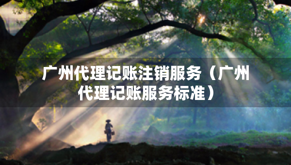 廣州代理記賬注銷服務（廣州代理記賬服務標準）