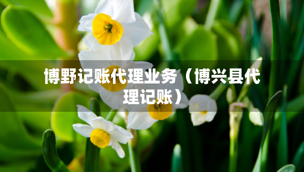 博野記賬代理業(yè)務(wù)（博興縣代理記賬）