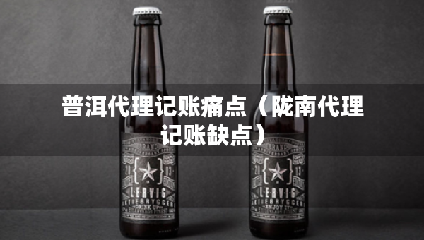 普洱代理記賬痛點（隴南代理記賬缺點）