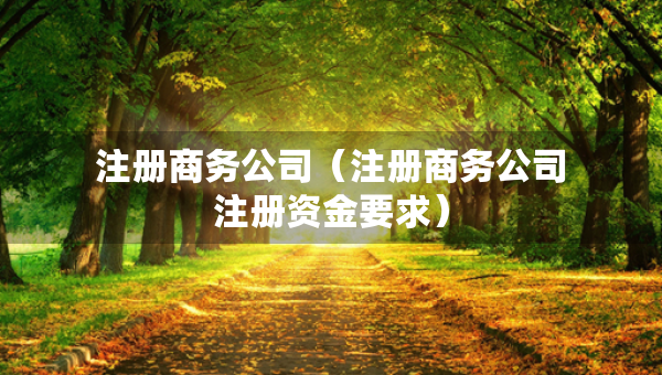 注冊(cè)商務(wù)公司（注冊(cè)商務(wù)公司注冊(cè)資金要求）