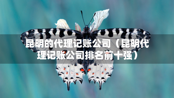 昆明的代理記賬公司（昆明代理記賬公司排名前十強(qiáng)）