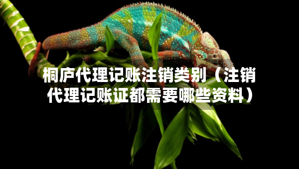 桐廬代理記賬注銷類別（注銷代理記賬證都需要哪些資料）