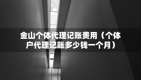 金山個體代理記賬費用（個體戶代理記賬多少錢一個月）
