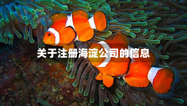 關(guān)于注冊(cè)海淀公司的信息