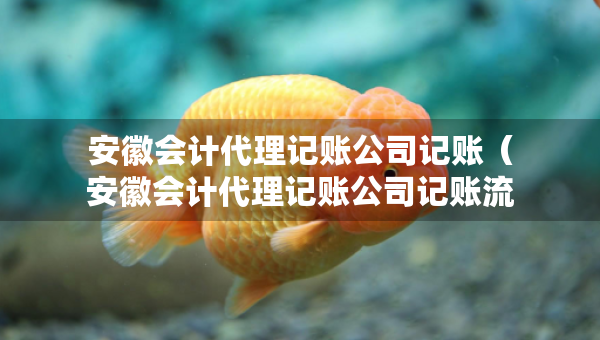 安徽會(huì)計(jì)代理記賬公司記賬（安徽會(huì)計(jì)代理記賬公司記賬流程）
