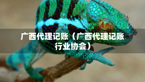 廣西代理記賬（廣西代理記賬行業(yè)協(xié)會）