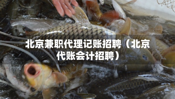 北京兼職代理記賬招聘（北京代賬會計招聘）