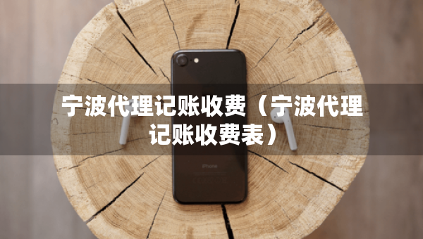 寧波代理記賬收費（寧波代理記賬收費表）