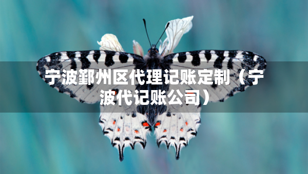 寧波鄞州區(qū)代理記賬定制（寧波代記賬公司）