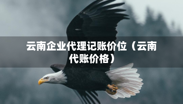 云南企業(yè)代理記賬價(jià)位（云南代賬價(jià)格）