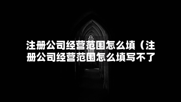 注冊公司經(jīng)營范圍怎么填（注冊公司經(jīng)營范圍怎么填寫不了）
