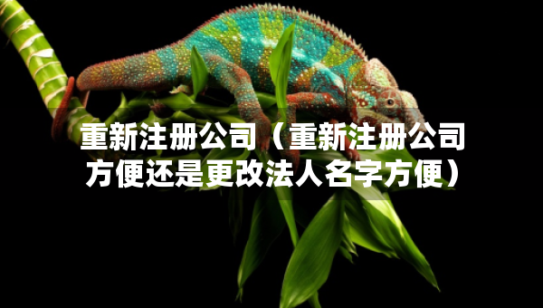 重新注冊公司（重新注冊公司方便還是更改法人名字方便）