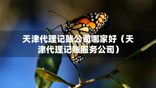 天津代理記賬公司哪家好（天津代理記賬服務(wù)公司）