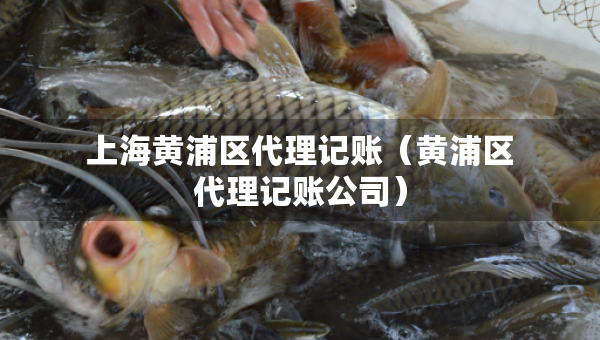 上海黃浦區(qū)代理記賬（黃浦區(qū)代理記賬公司）