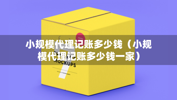小規(guī)模代理記賬多少錢（小規(guī)模代理記賬多少錢一家）