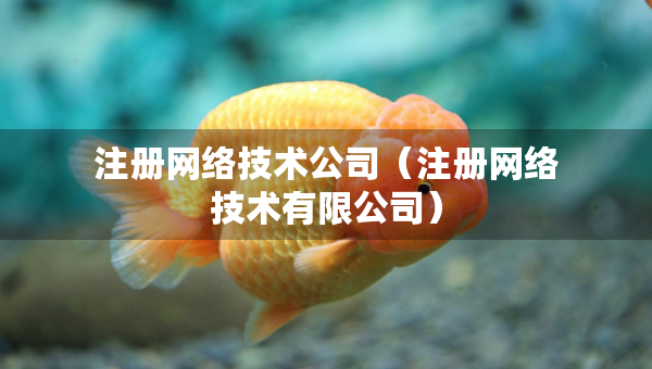 注冊(cè)網(wǎng)絡(luò)技術(shù)公司（注冊(cè)網(wǎng)絡(luò)技術(shù)有限公司）
