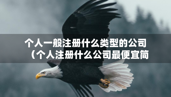 個人一般注冊什么類型的公司（個人注冊什么公司最便宜簡單?）