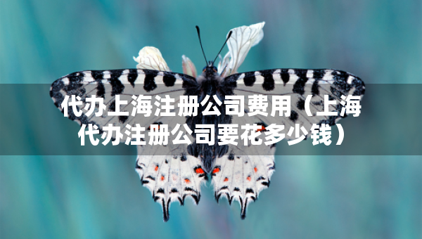 代辦上海注冊(cè)公司費(fèi)用（上海代辦注冊(cè)公司要花多少錢）