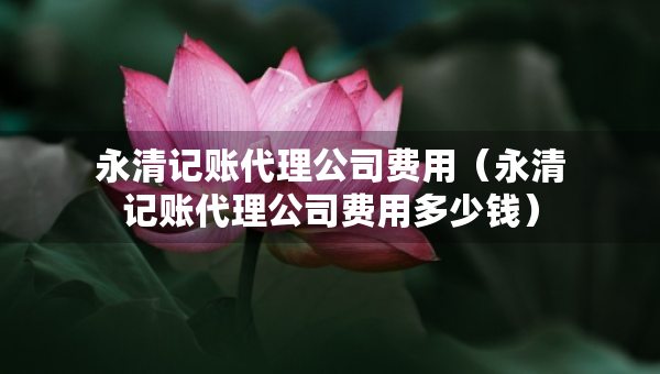 永清記賬代理公司費用（永清記賬代理公司費用多少錢）