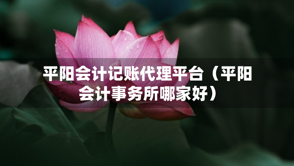 平陽(yáng)會(huì)計(jì)記賬代理平臺(tái)（平陽(yáng)會(huì)計(jì)事務(wù)所哪家好）