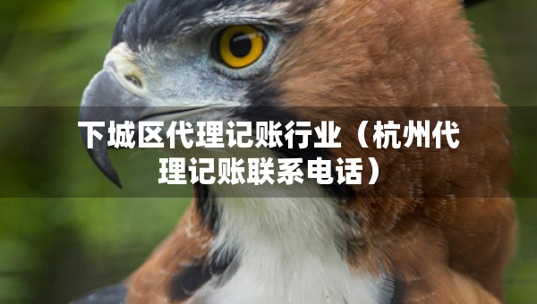 下城區(qū)代理記賬行業(yè)（杭州代理記賬聯(lián)系電話）