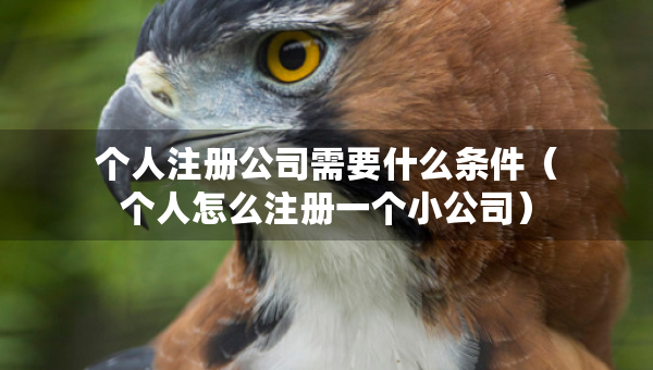 個(gè)人注冊公司需要什么條件（個(gè)人怎么注冊一個(gè)小公司）