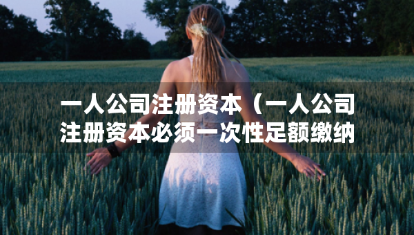 一人公司注冊資本（一人公司注冊資本必須一次性足額繳納）