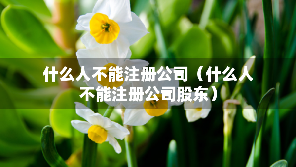 什么人不能注冊(cè)公司（什么人不能注冊(cè)公司股東）