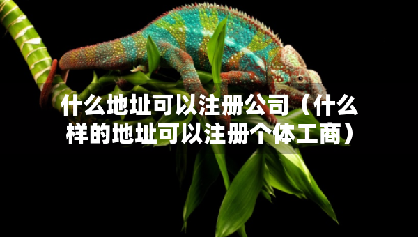 什么地址可以注冊公司（什么樣的地址可以注冊個體工商）