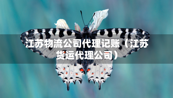 江蘇物流公司代理記賬（江蘇貨運(yùn)代理公司）