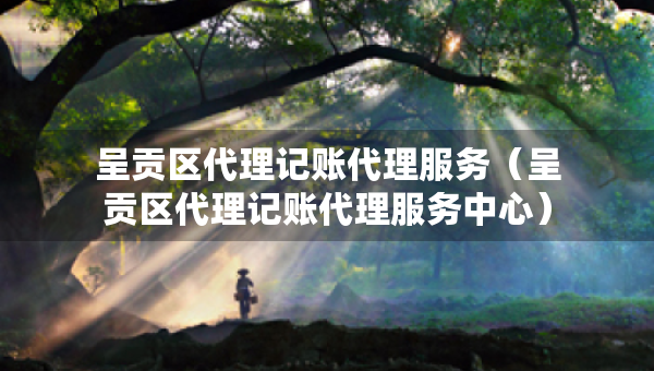 呈貢區(qū)代理記賬代理服務（呈貢區(qū)代理記賬代理服務中心）