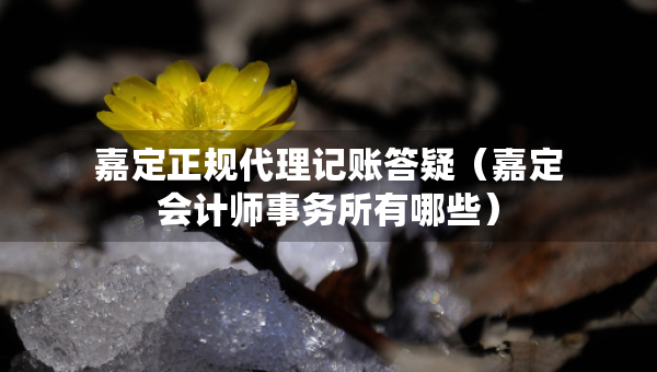 嘉定正規(guī)代理記賬答疑（嘉定會(huì)計(jì)師事務(wù)所有哪些）