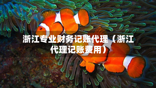 浙江專業(yè)財務記賬代理（浙江代理記賬費用）