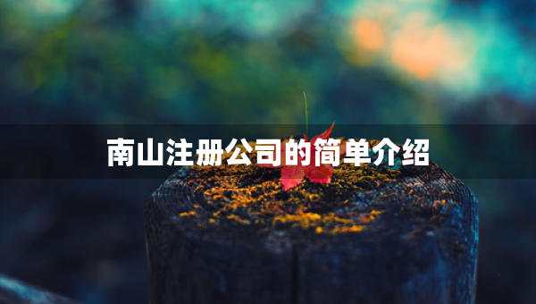 南山注冊公司的簡單介紹