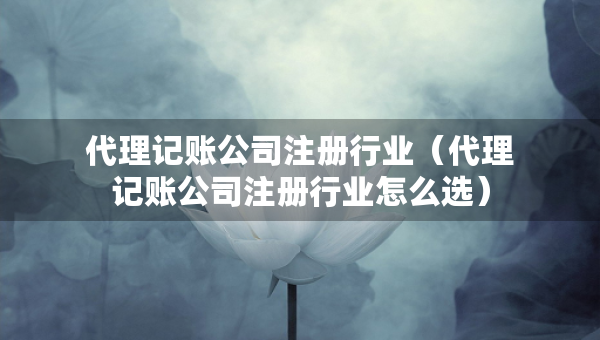 代理記賬公司注冊行業(yè)（代理記賬公司注冊行業(yè)怎么選）