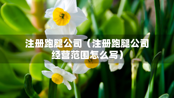 注冊跑腿公司（注冊跑腿公司經(jīng)營范圍怎么寫）