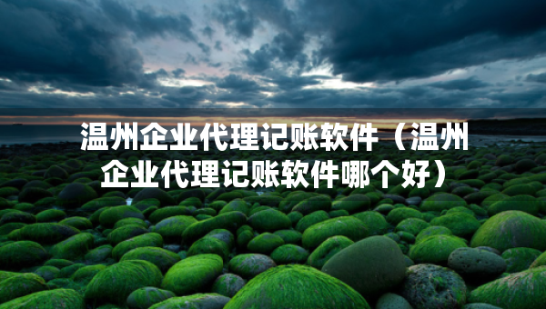 溫州企業(yè)代理記賬軟件（溫州企業(yè)代理記賬軟件哪個(gè)好）