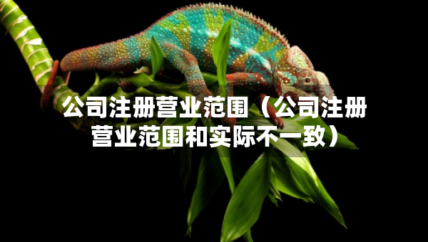 公司注冊(cè)營(yíng)業(yè)范圍（公司注冊(cè)營(yíng)業(yè)范圍和實(shí)際不一致）