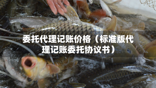 委托代理記賬價(jià)格（標(biāo)準(zhǔn)版代理記賬委托協(xié)議書(shū)）