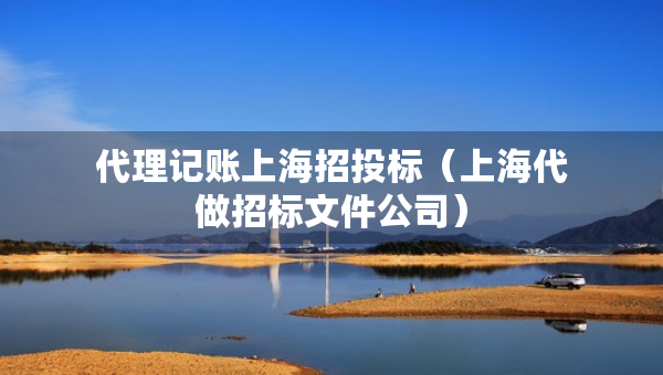 代理記賬上海招投標(biāo)（上海代做招標(biāo)文件公司）