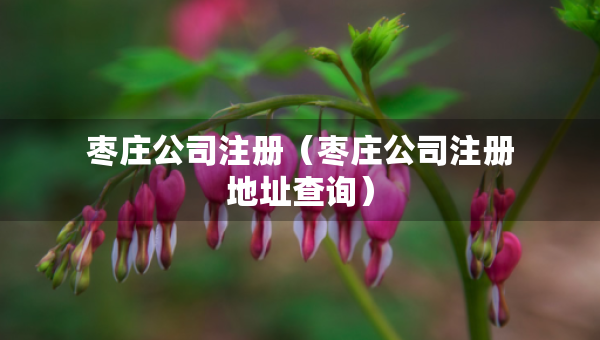 棗莊公司注冊（棗莊公司注冊地址查詢）