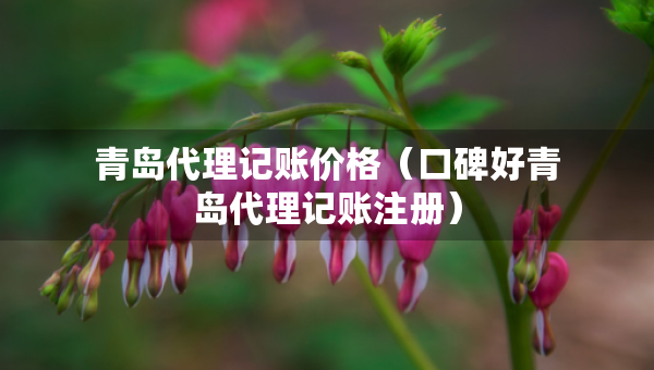 青島代理記賬價格（口碑好青島代理記賬注冊）